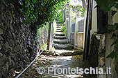 Ischia, il giro dell'isola lungo l'anello stradale 34