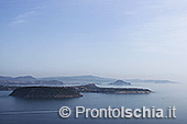 Procida, un'isola da scoprire 11