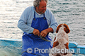 I pescatori di Ischia Ponte 8