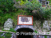 La Casa Museo di Serrara Fontana 35