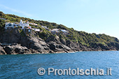 Il giro dell'isola d'Ischia via mare 30