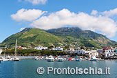 Il giro dell'isola d'Ischia via mare 37