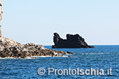 Il giro dell'isola d'Ischia via mare 46