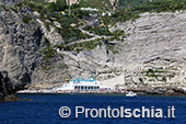 Il giro dell'isola d'Ischia via mare 58