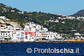 Il giro dell'isola d'Ischia via mare 61