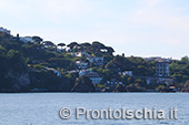 Il giro dell'isola d'Ischia via mare 97