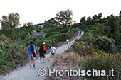 Escursioni a Ischia: tramonto al Monte Epomeo 76