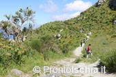 Hiking a Ischia 5