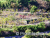 Il belvedere di Serrara Fontana 24