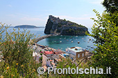 Da Ischia Ponte a Cartaromana 7