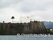 Pescaturismo a Ischia 63