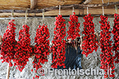 Ischia: l'arte del 