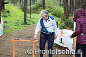 L'orienteering a Ischia 22