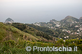 Ischia, Andar per Cantine: Frassitelli al tramonto 6